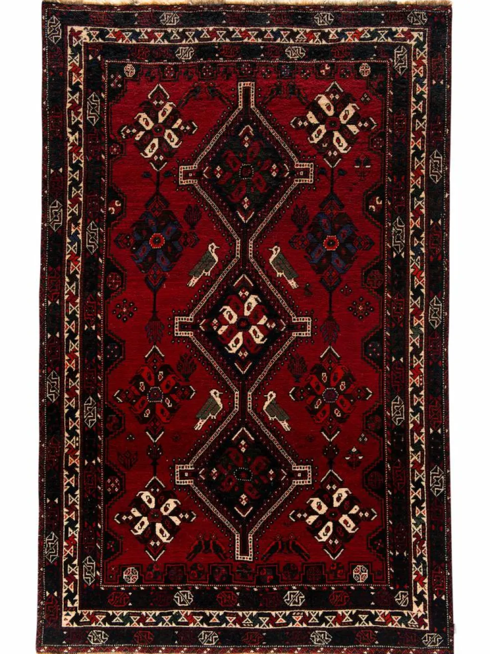 Shiraz