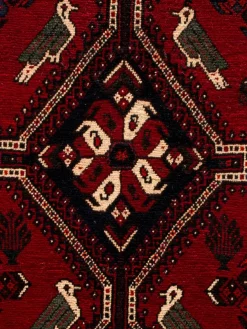 Shiraz