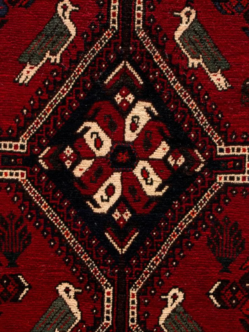 Shiraz