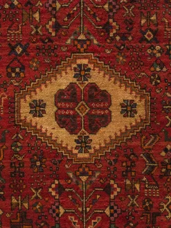 Shiraz