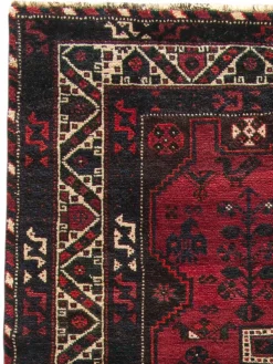 Shiraz