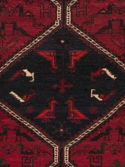 Shiraz