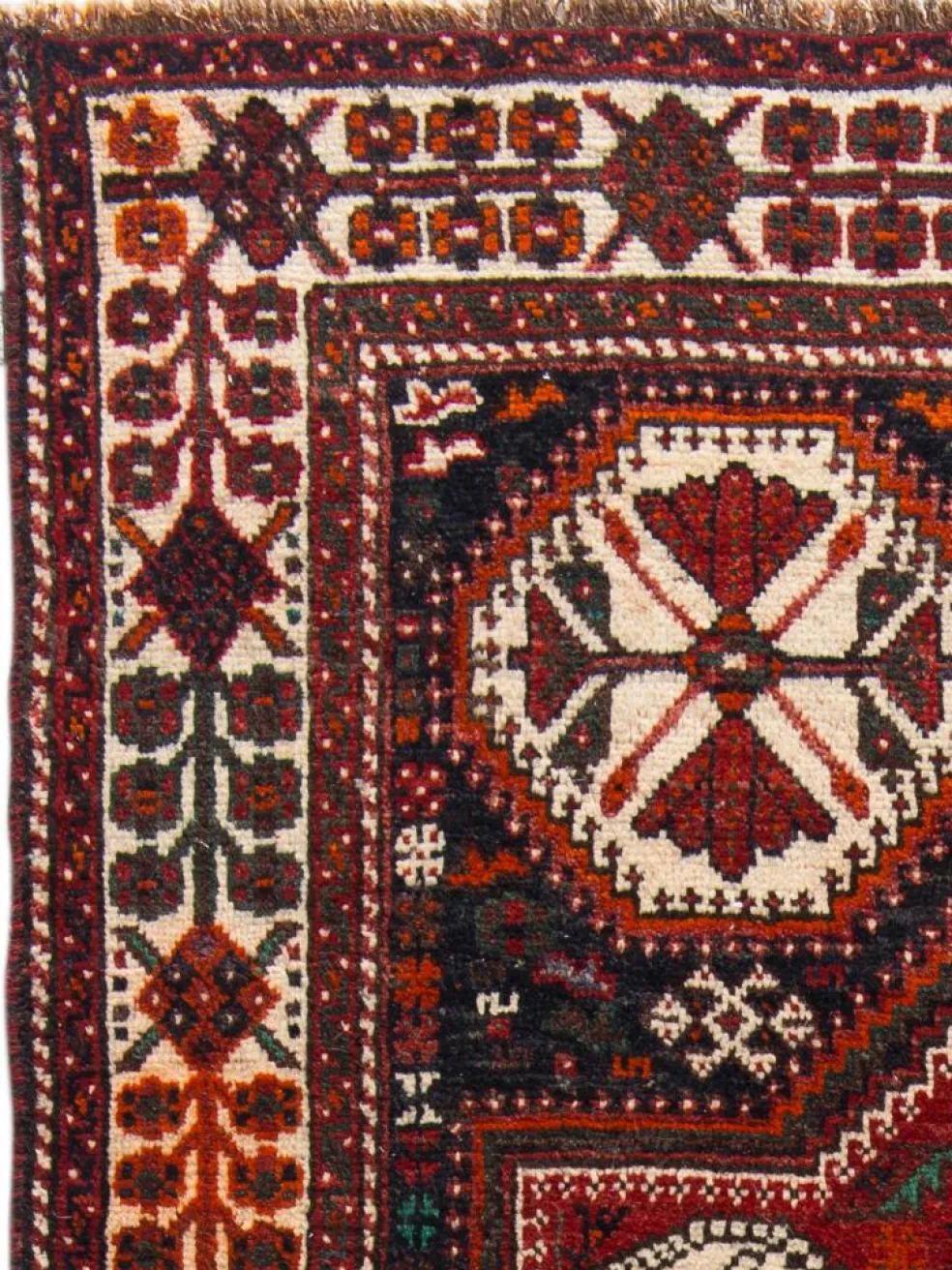 Shiraz