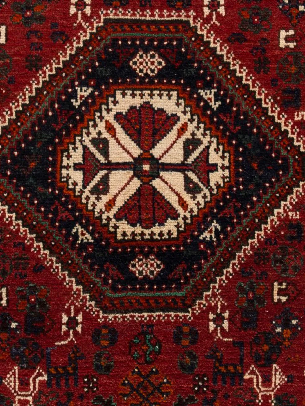 Shiraz