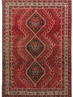 Shiraz