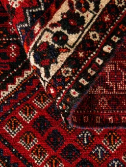 Shiraz