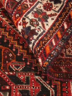 Shiraz