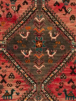 Shiraz