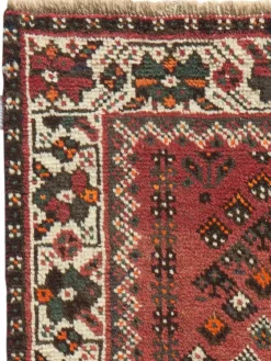 Shiraz