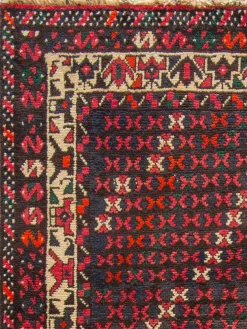 Shiraz