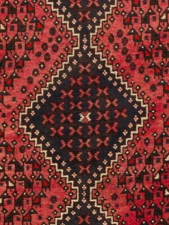 Shiraz