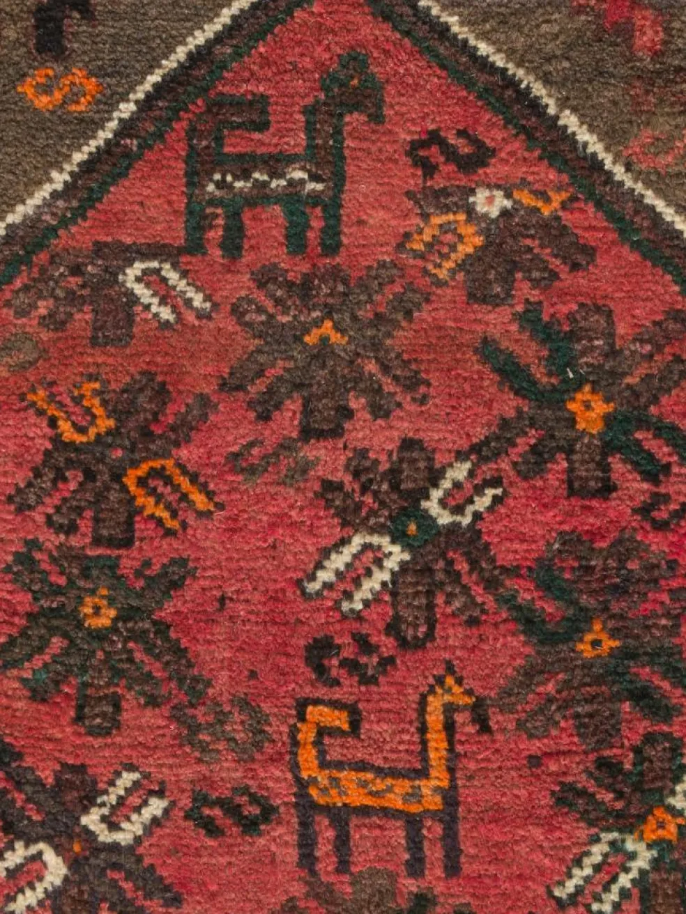 Shiraz