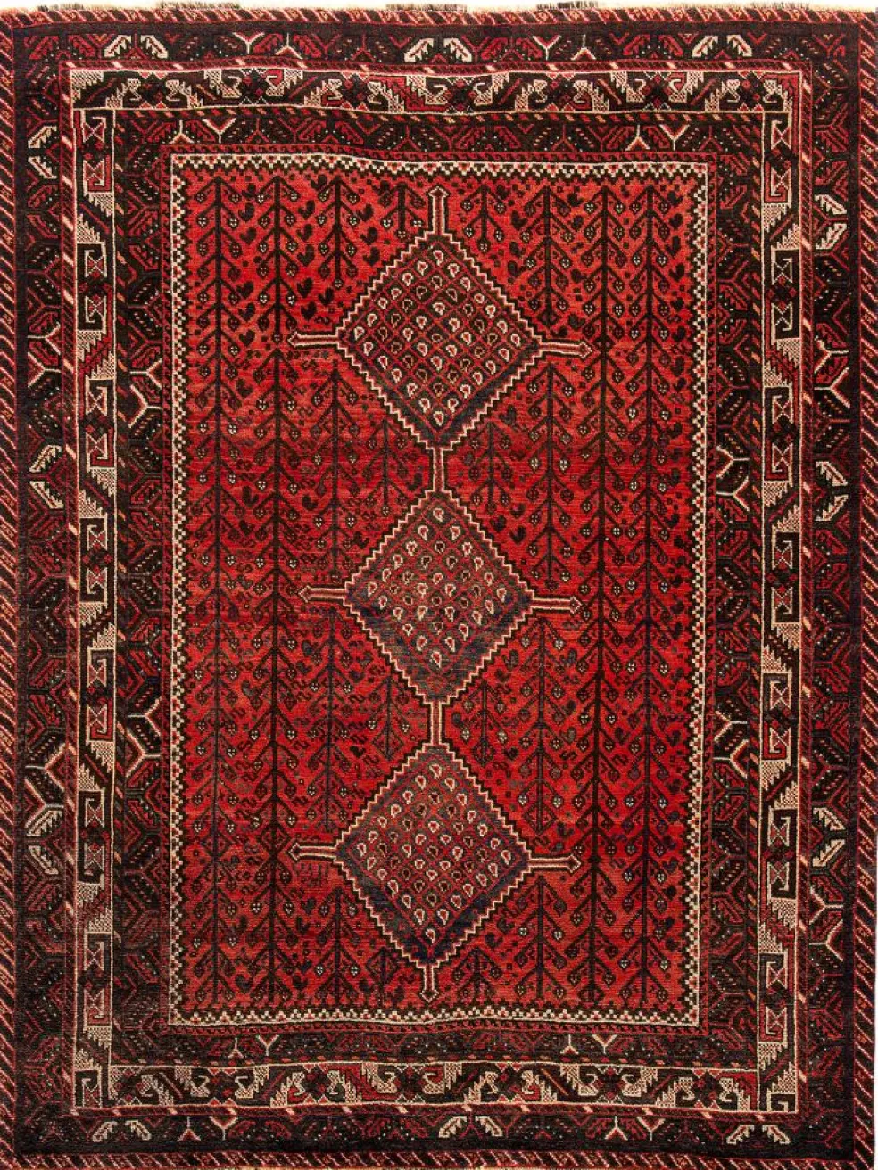 Shiraz