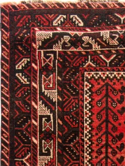 Shiraz