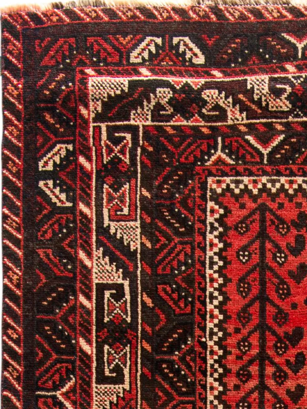Shiraz
