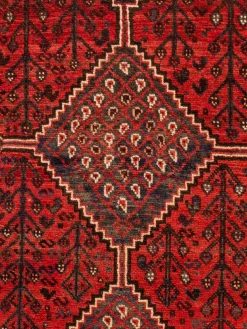 Shiraz