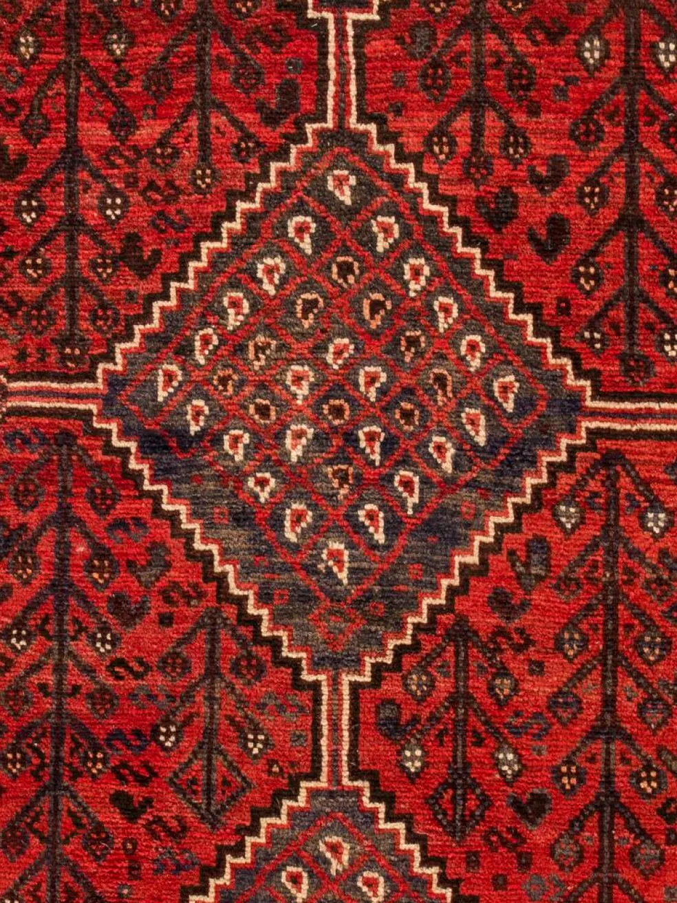 Shiraz