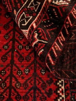 Shiraz