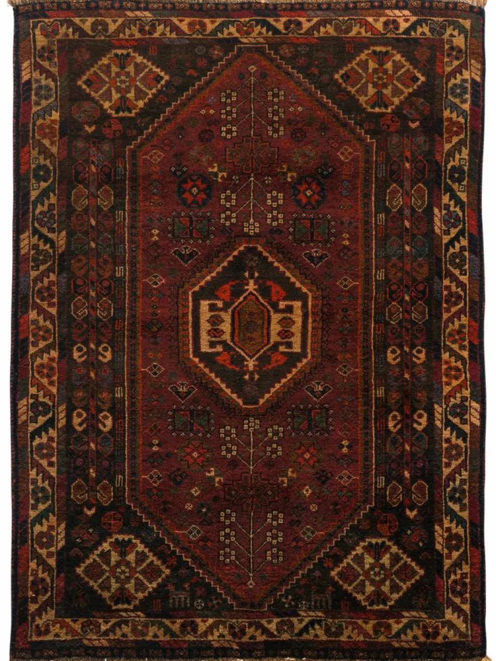 Shiraz