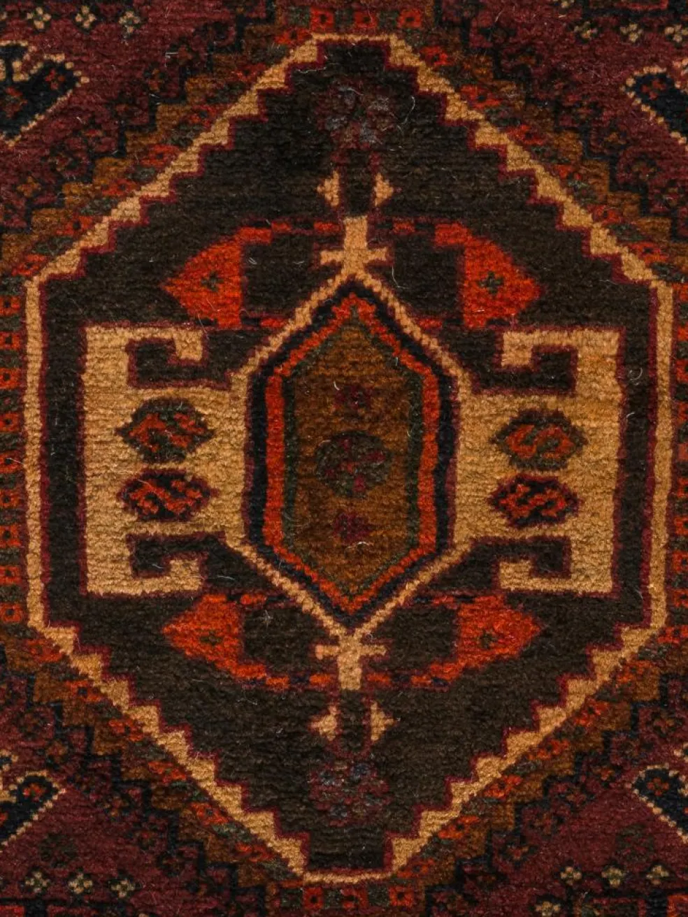 Shiraz