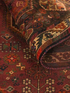 Shiraz