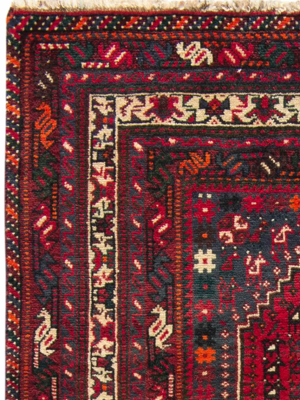 Shiraz