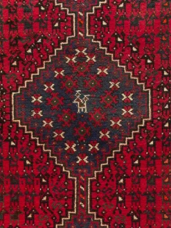 Shiraz