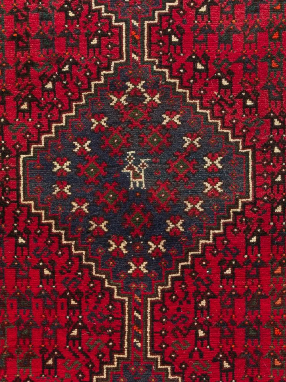 Shiraz