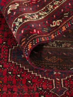 Shiraz