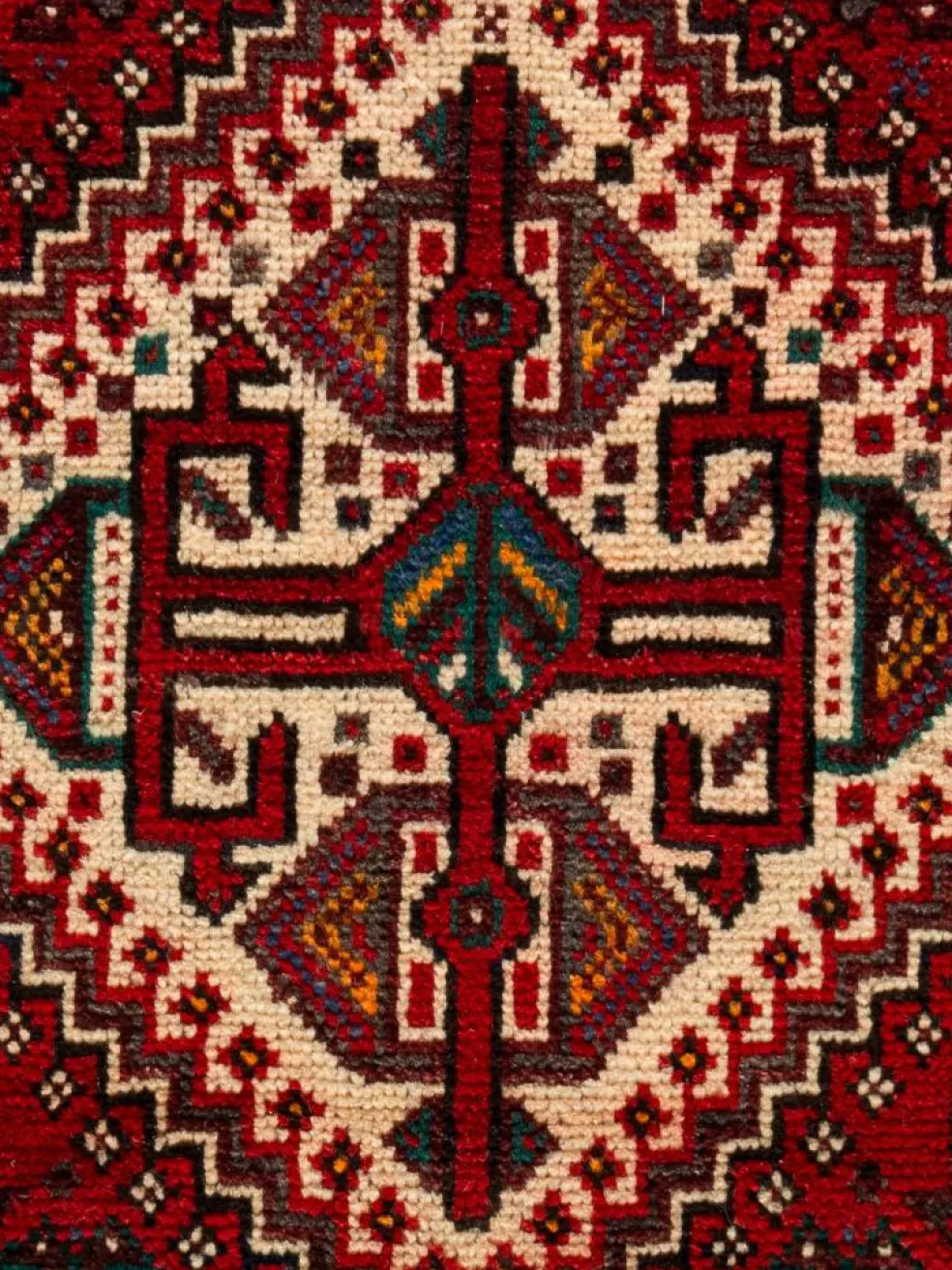 Shiraz
