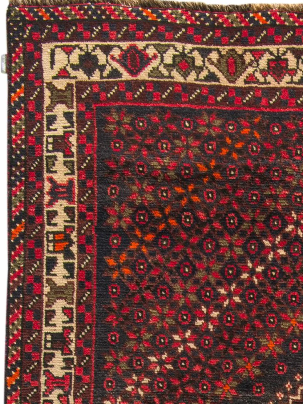 Shiraz
