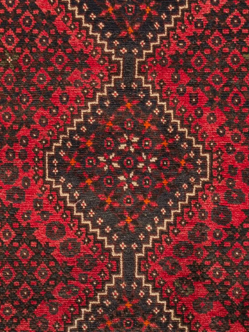 Shiraz