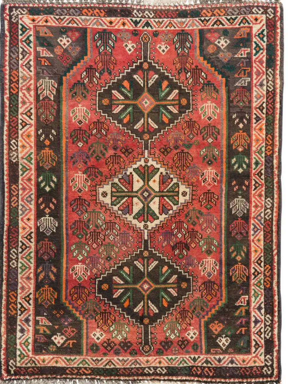 Shiraz