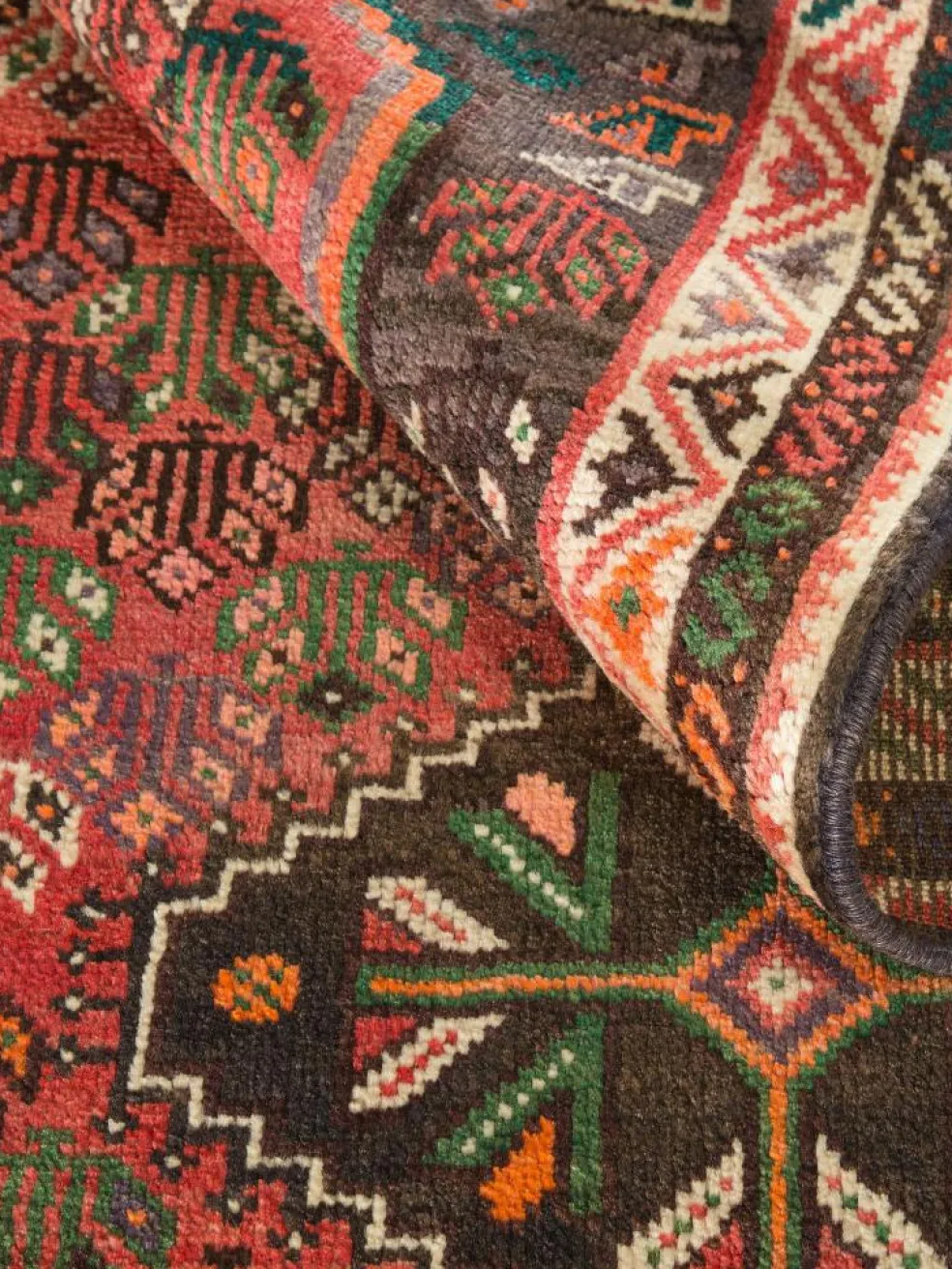 Shiraz