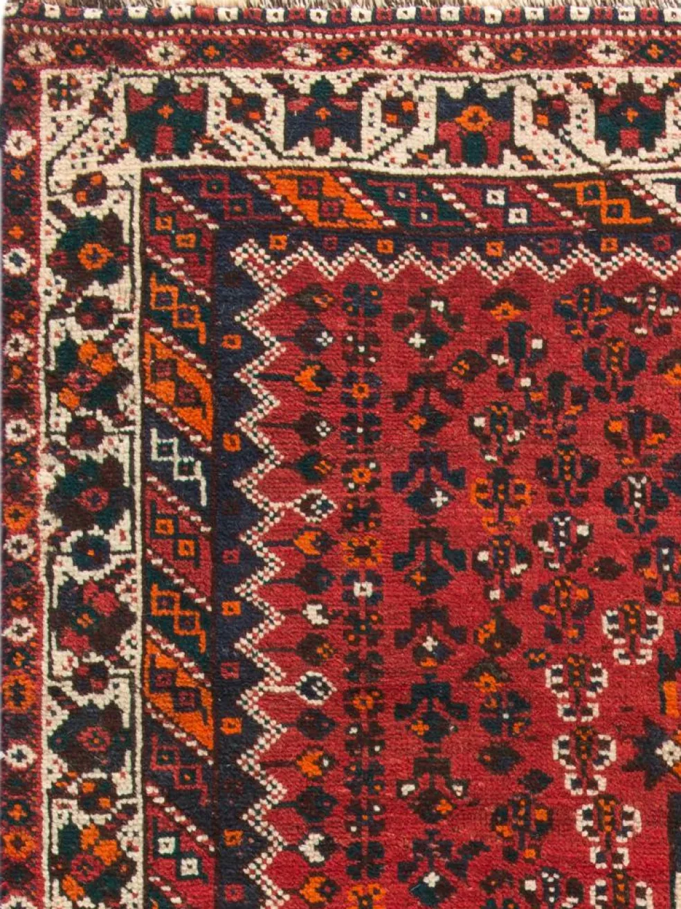 Shiraz