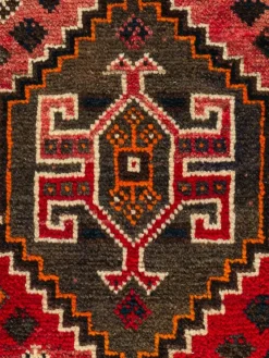 Shiraz