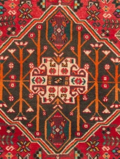 Shiraz