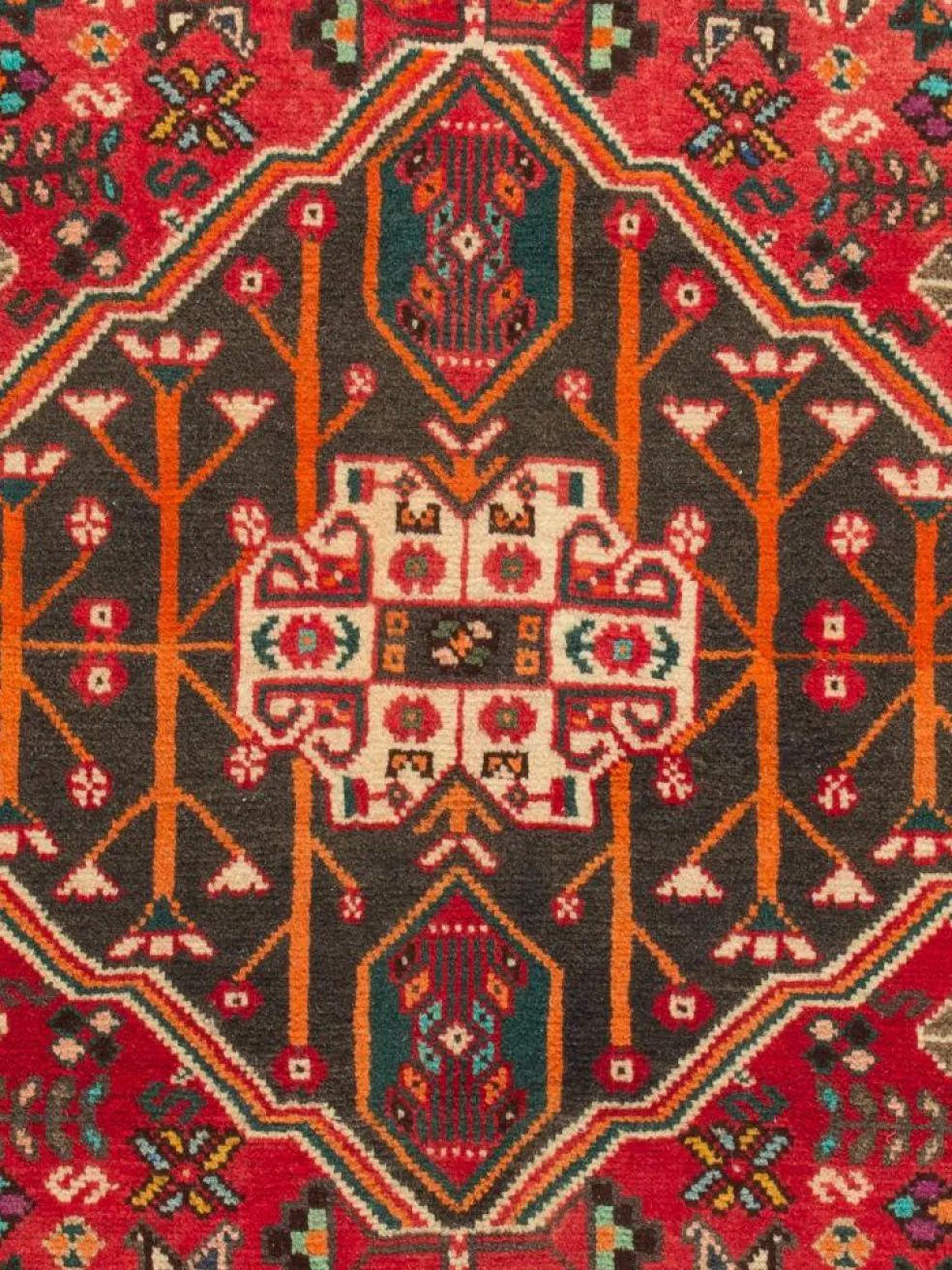 Shiraz
