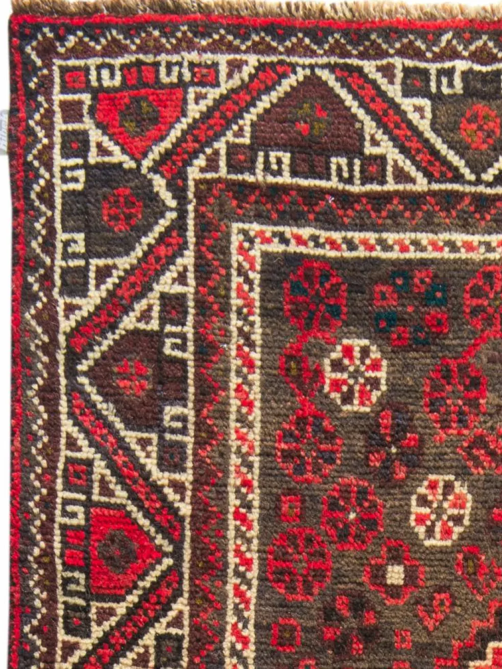 Shiraz
