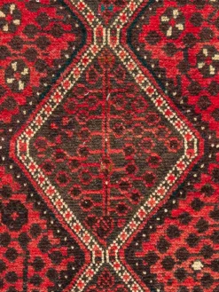 Shiraz
