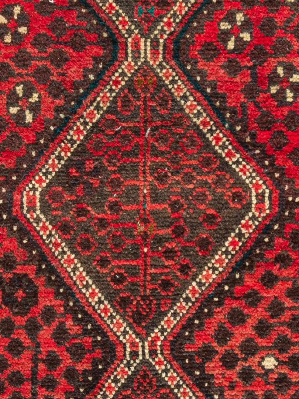 Shiraz