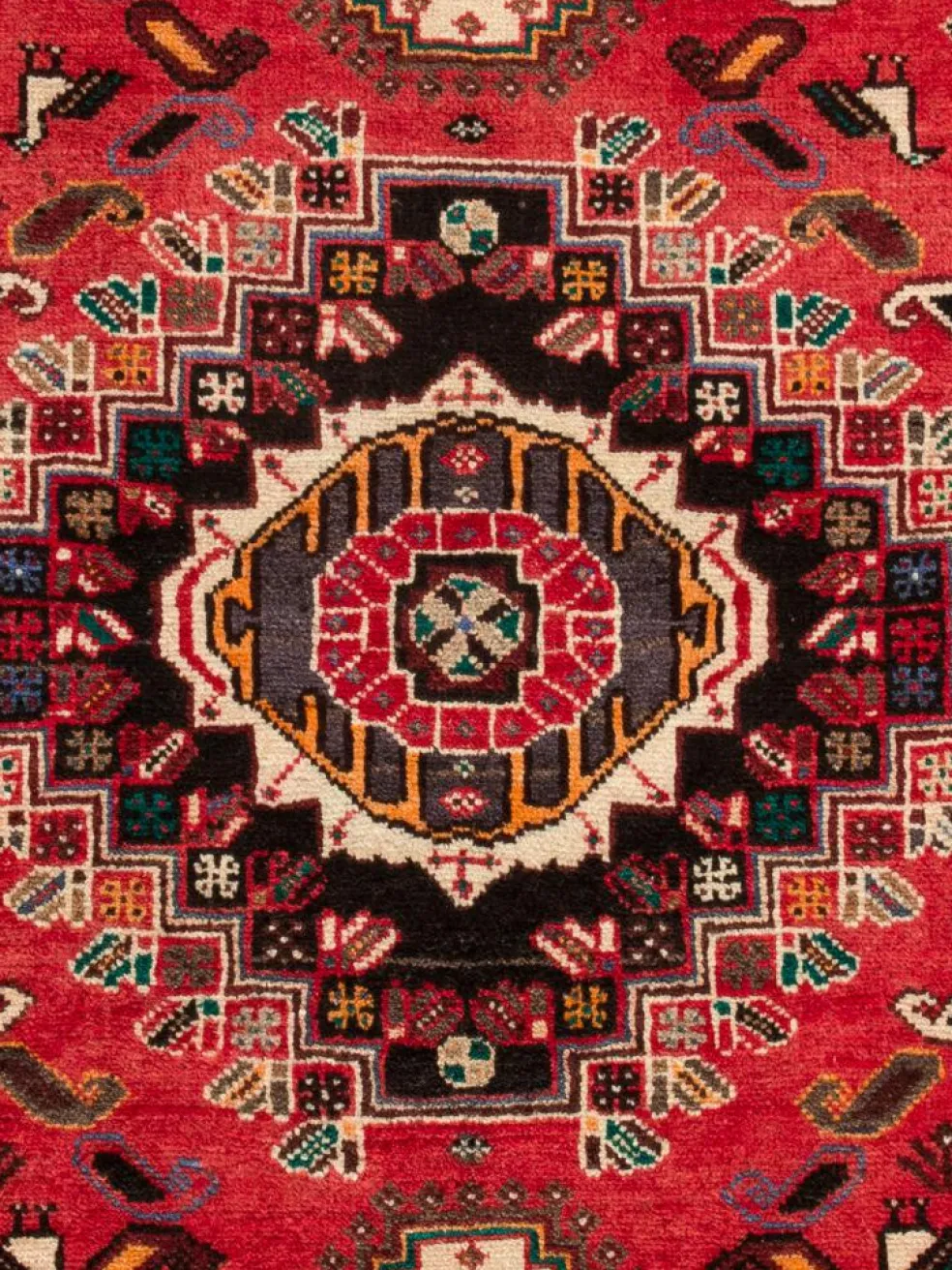 Shiraz