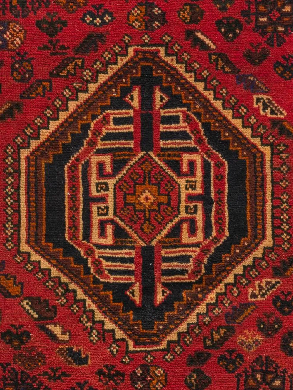 Shiraz