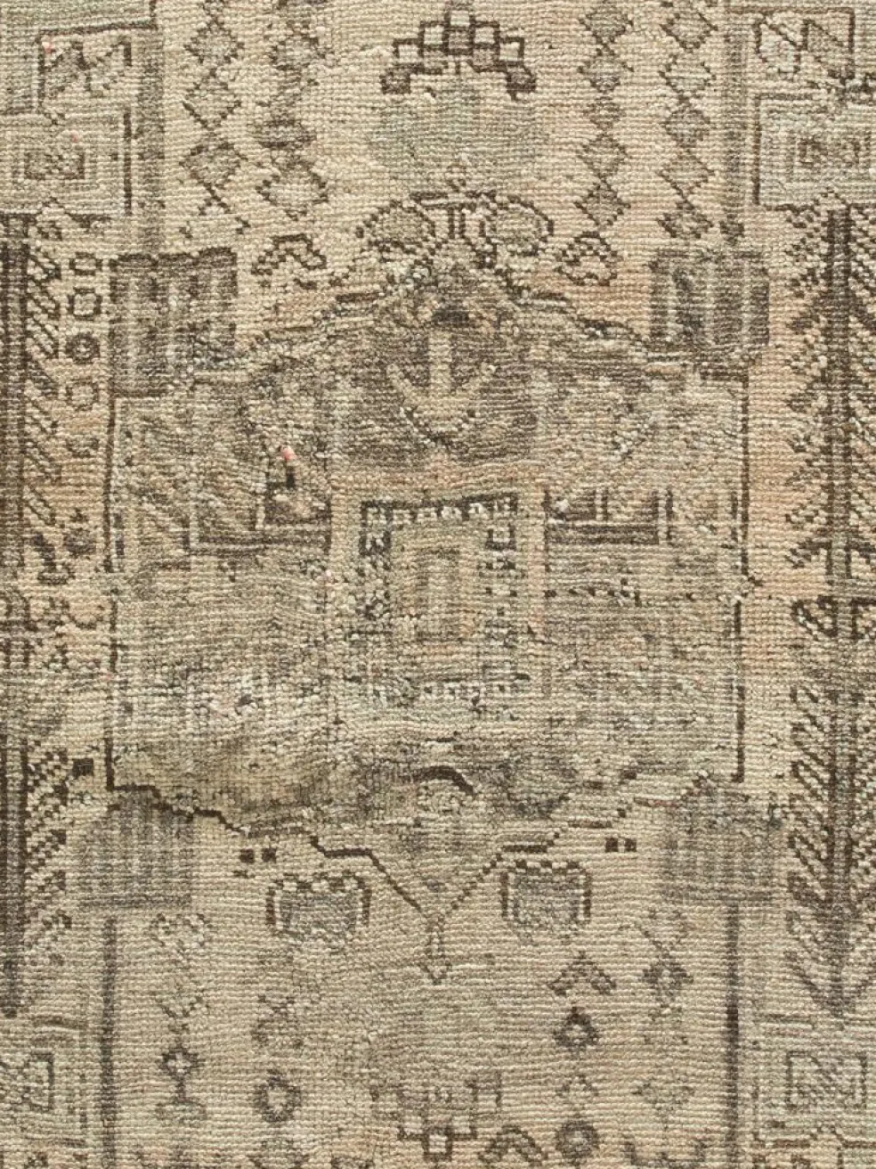Shiraz Vintage