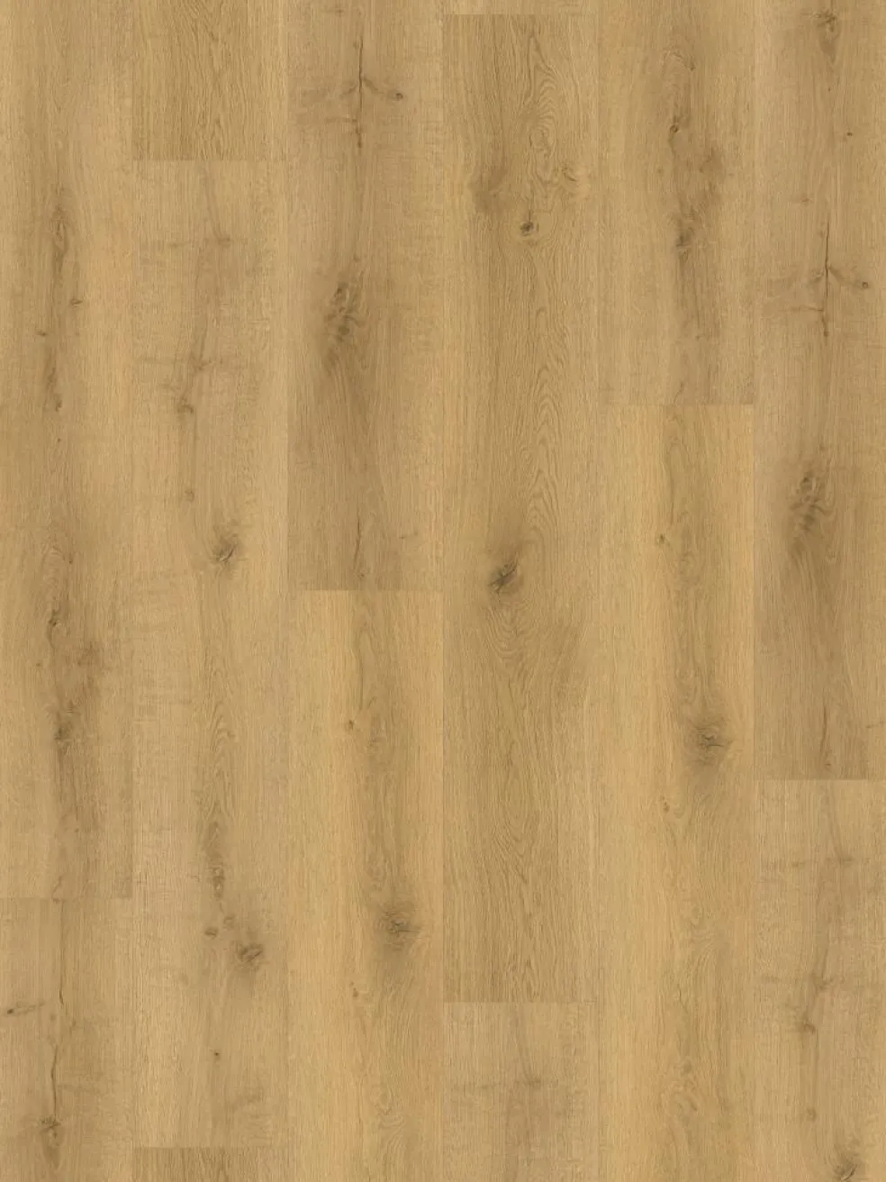 Silent Wood XL