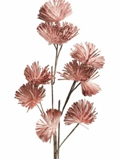 Softflower