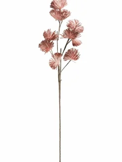 Softflower
