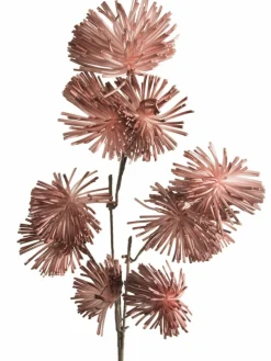 Softflower