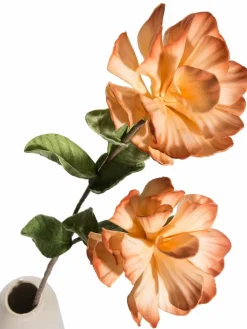 Softflower