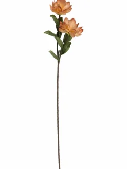 Softflower
